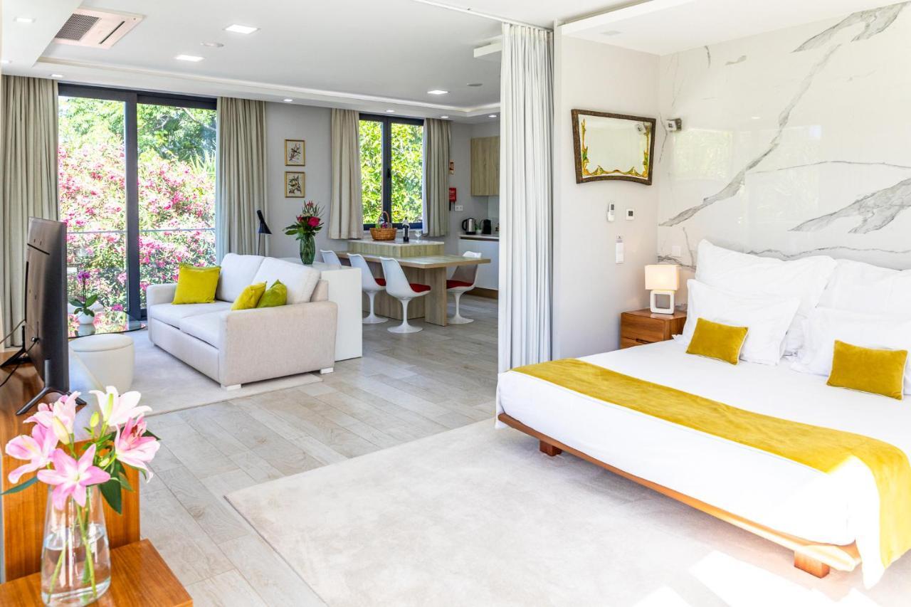Deluxe One-Bedroom Apartment