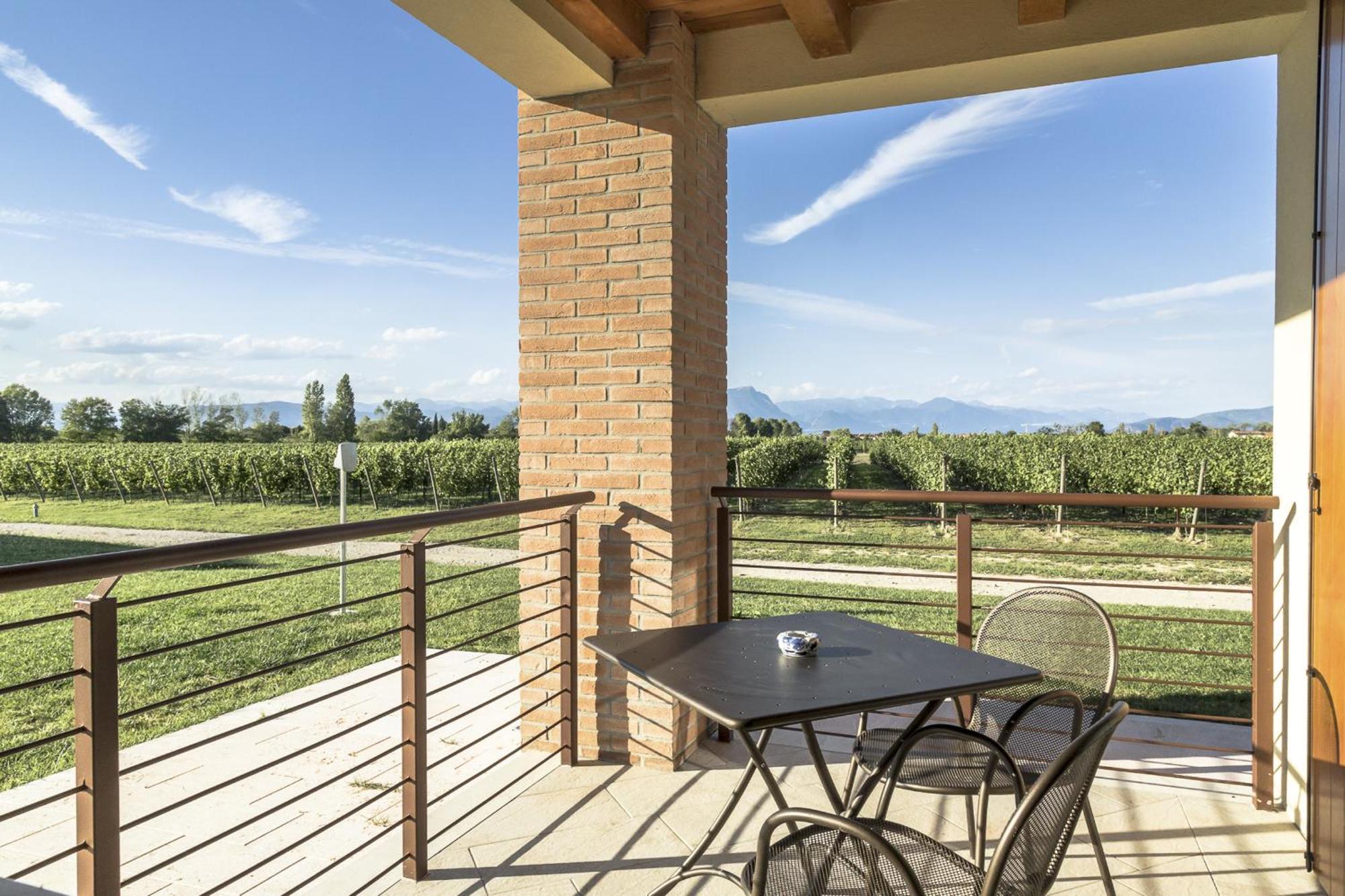 Studio Terrace