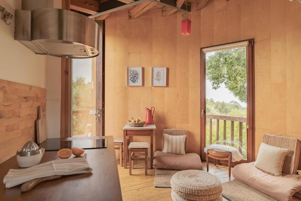 Tree House Studio,1717084505:JPEG