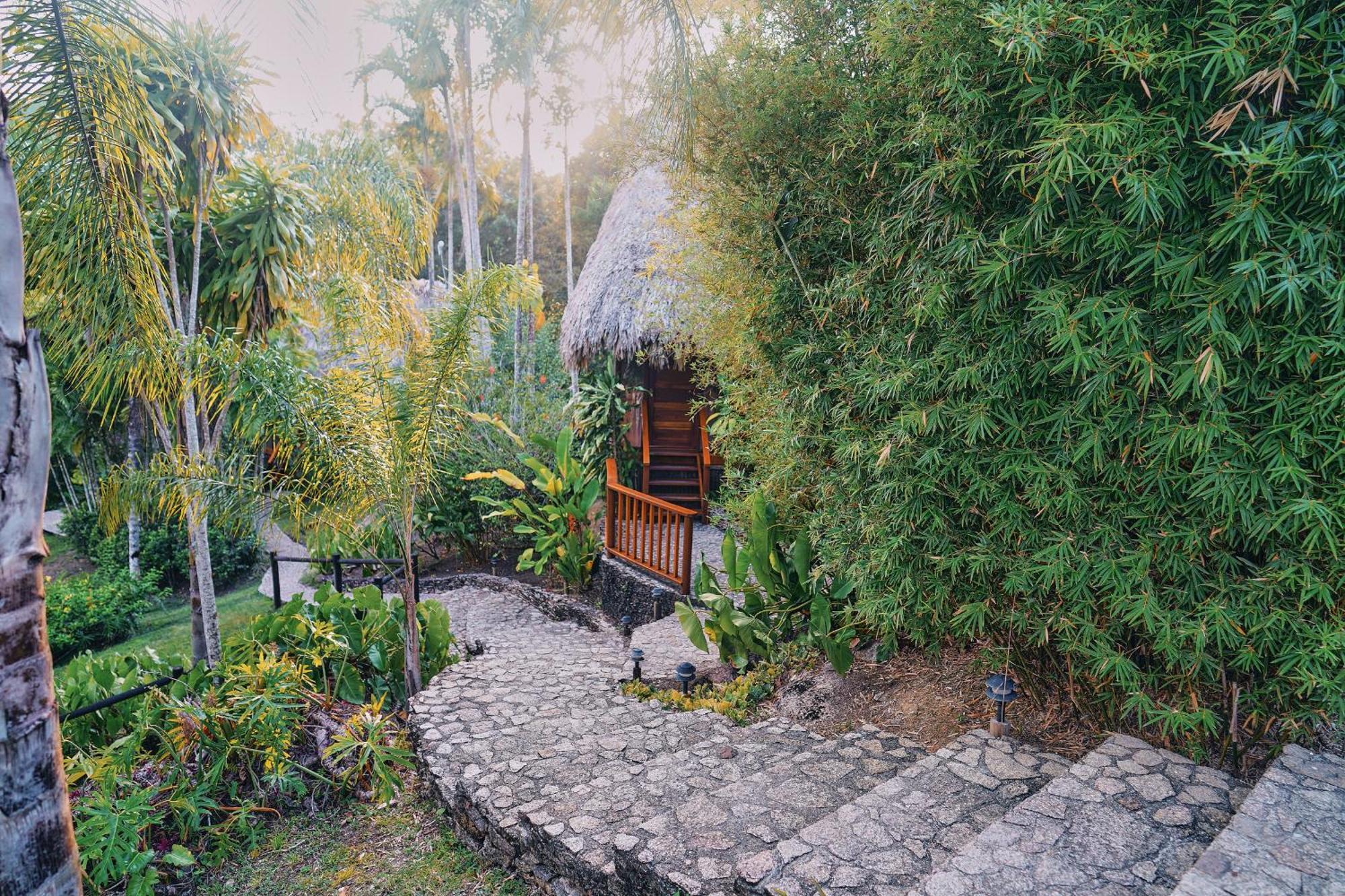 Cottage Garden View