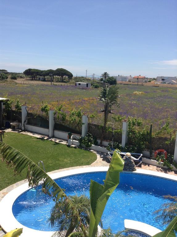 Apartment Pool View