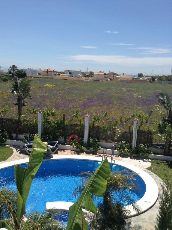 Apartment Pool View