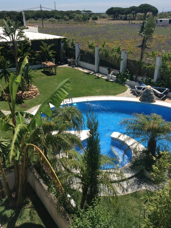 Apartment Pool View