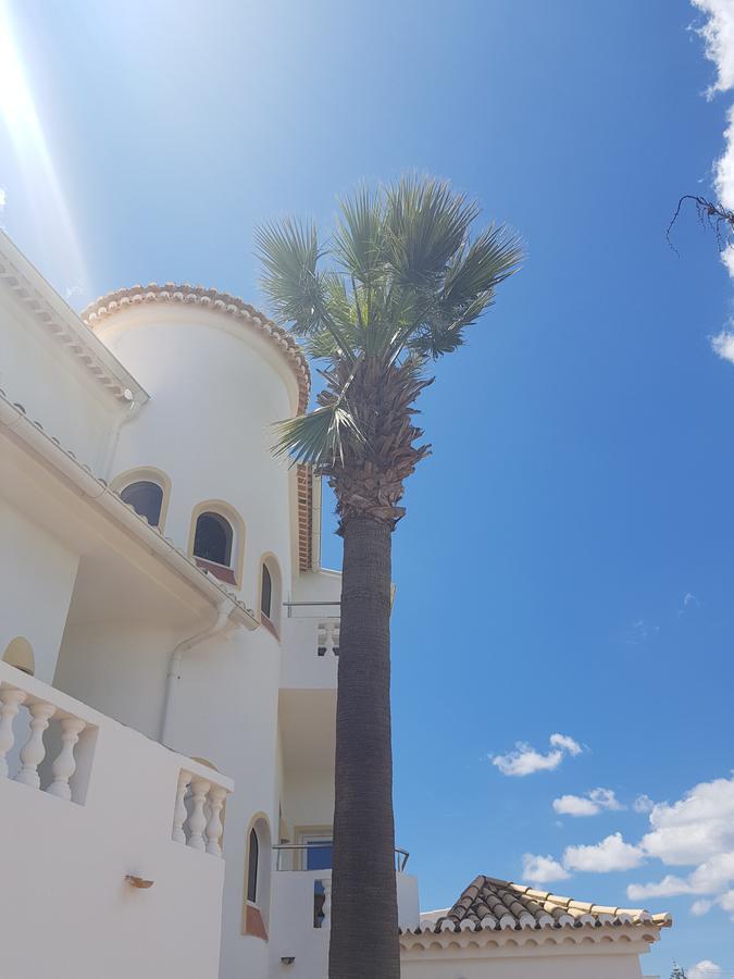 Twin Room,665401281:JPEG