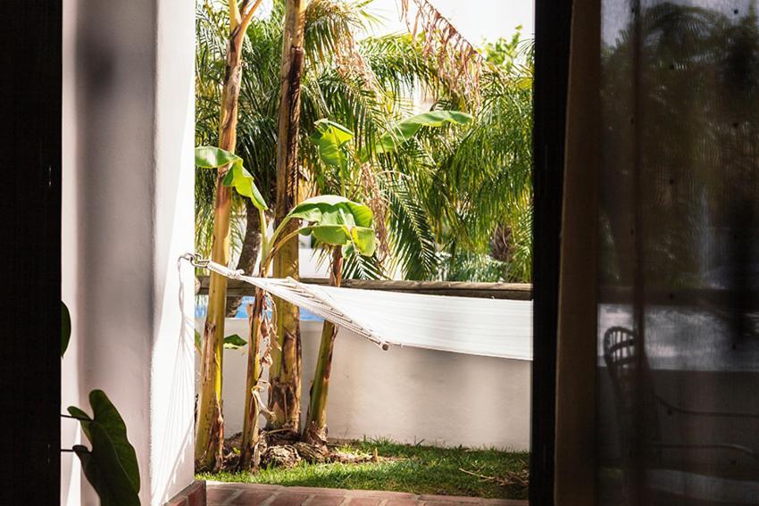 Apartment Pool View