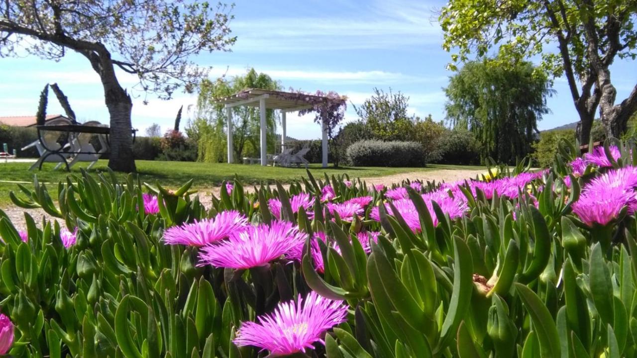 Large Double Room,1118483475:JPEG