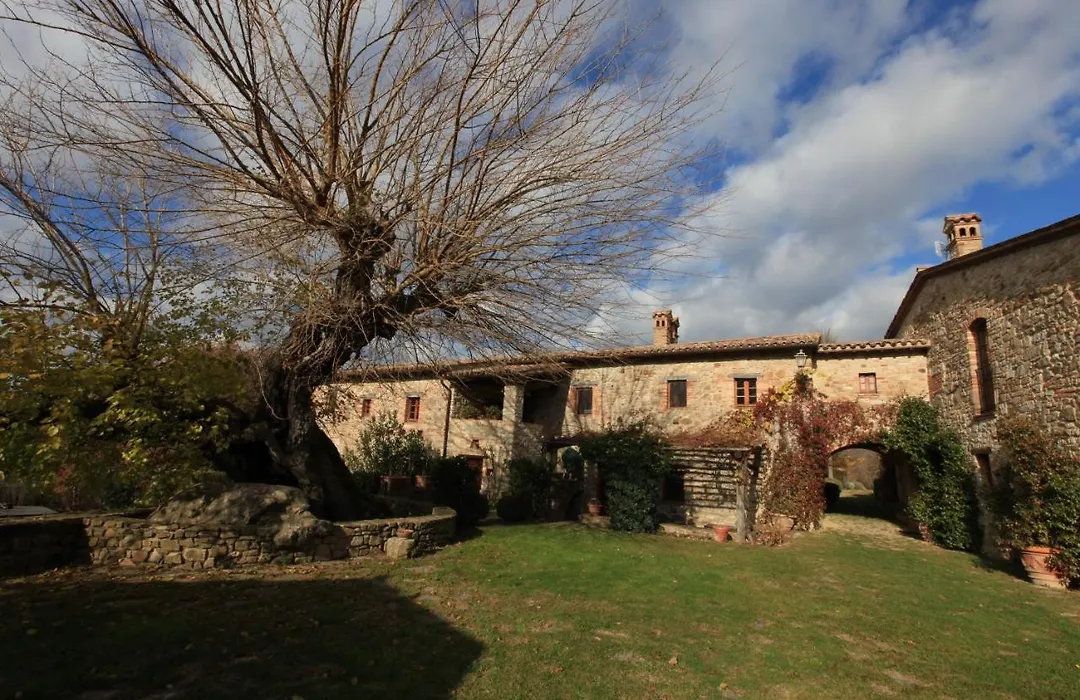 Antico Gelso-1