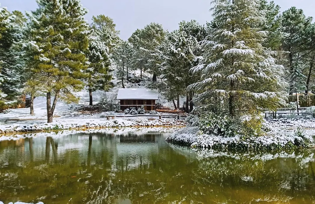 La cabaña del lago en ZAFIRO LAGUNAZO Parque Natural del Río Mundo-1