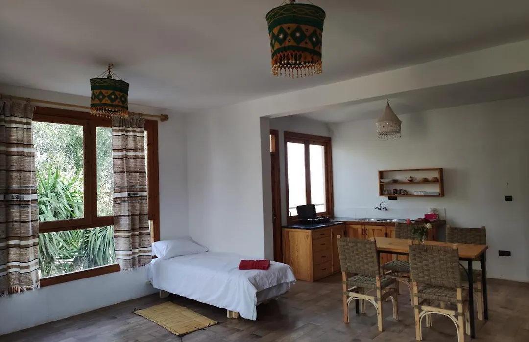 Taghazout Hill Retreat-1
