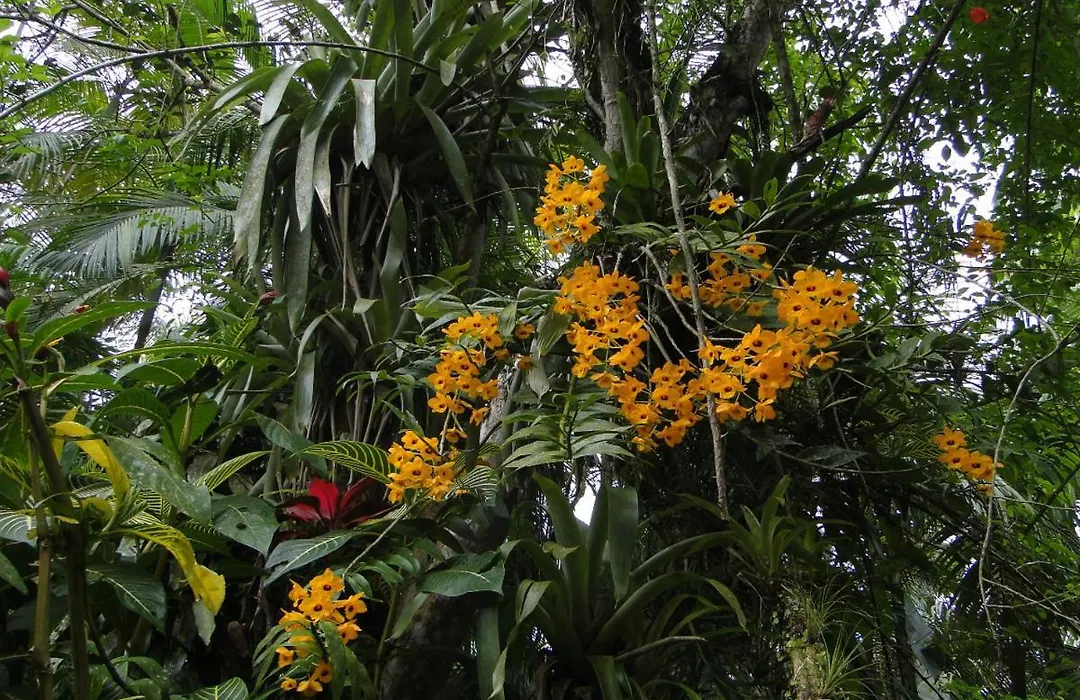 Pousada do Oasis-1