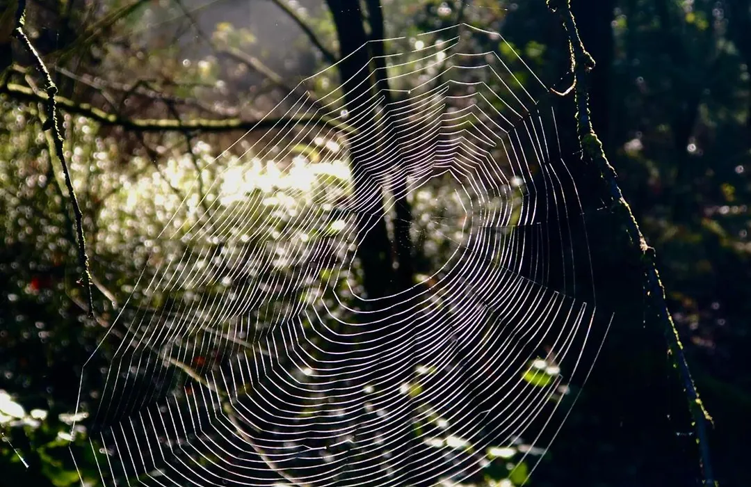 Het Natuurhuisje op de Veluwe-1