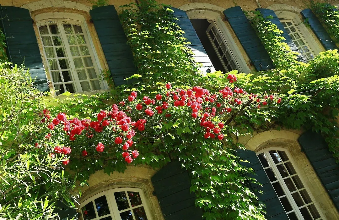 Domaine de Rhodes - Locations de vacances / Vacation rentals-1