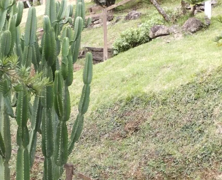 Jardim Real - Chales Para Casais-1