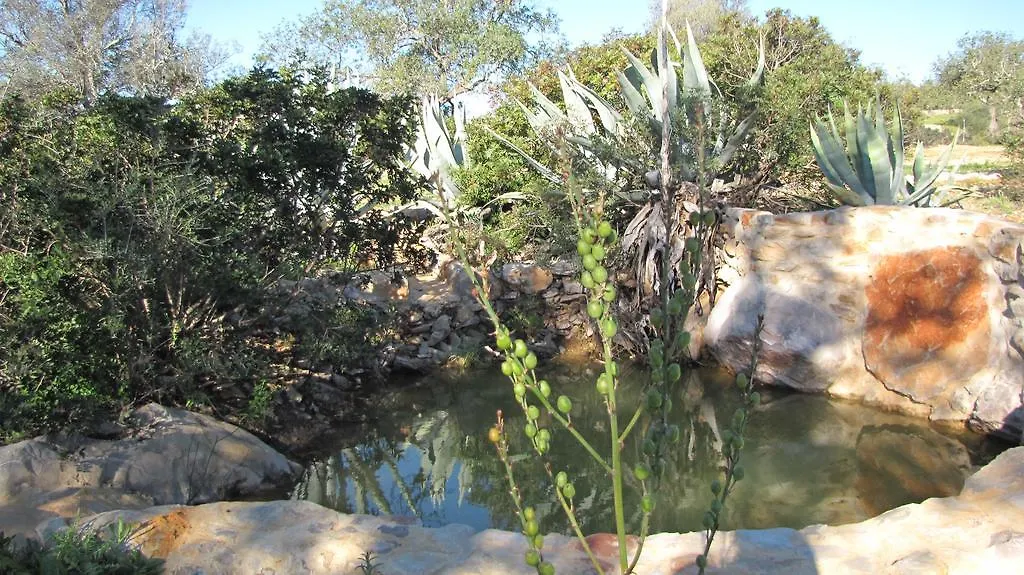 Casa Branca Turismo Rural-1