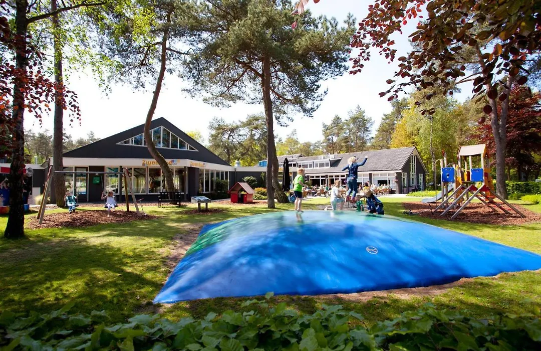 Vakantievilla Q12 Beekbergen De Veluwe-1
