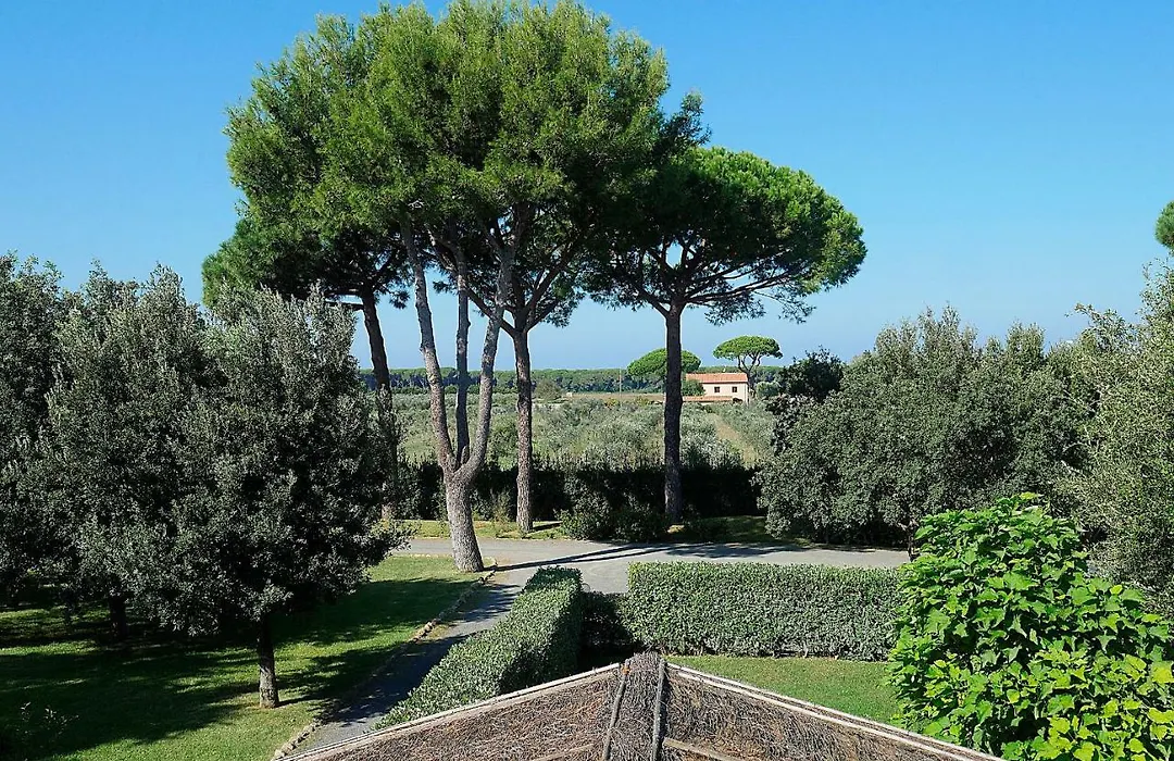 Agriturismo Il Pelago-1