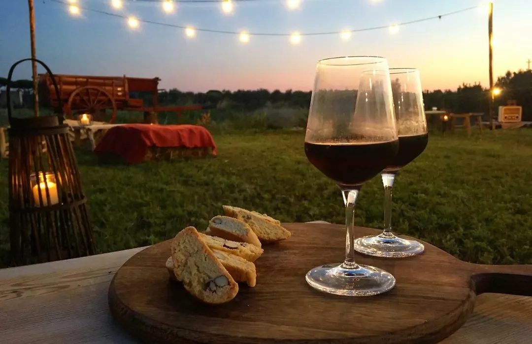 Agriturismo Quattro Pini-1