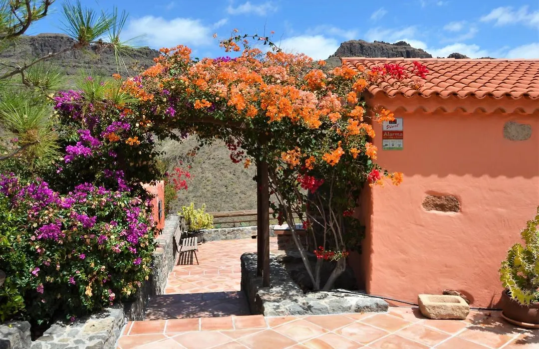 Finca Las Olivas - Unique Country House With Heated Pool-1