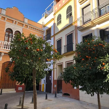 Unique House - Private Spa&Pool -Stayinseville-3