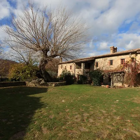 Antico Gelso-3
