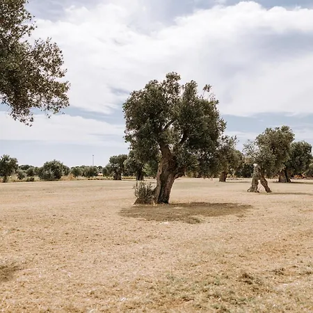 Masseria Garrappa-3
