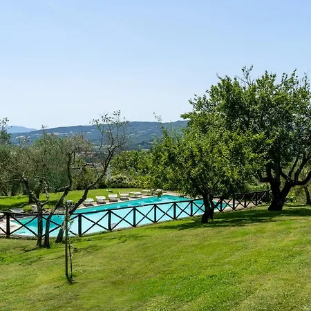 Poggio Agli Ulivi-2