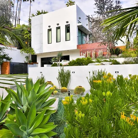 Hollywood Hills Sanctuary-2
