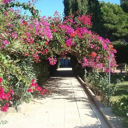 Cortijo EL LLANO-3