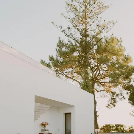 Casa Modesta-3