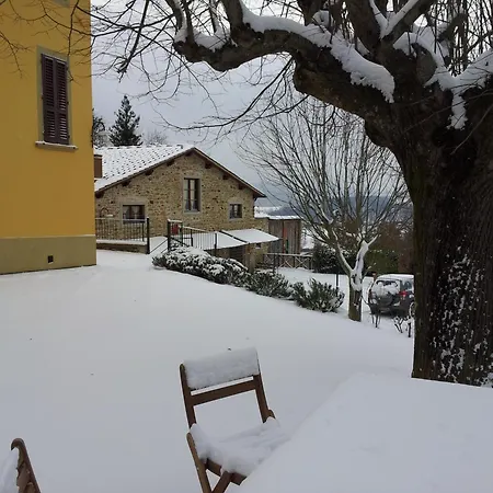 Poggio Agli Ulivi-3