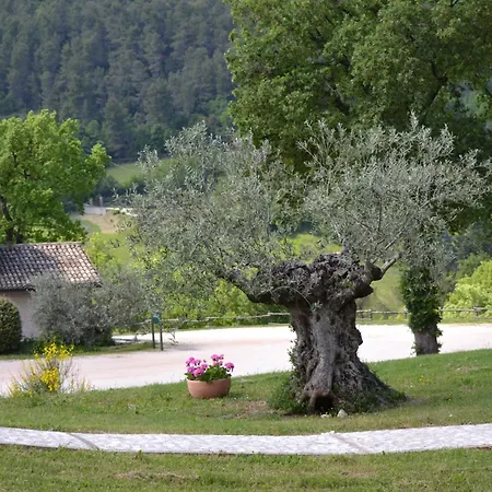Valle Rosa-3