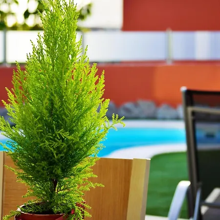 Villas Opal Anfi Tauro-3