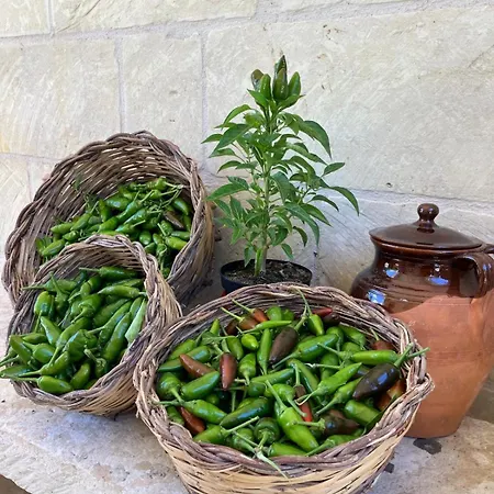 Masseria Sucéa-2