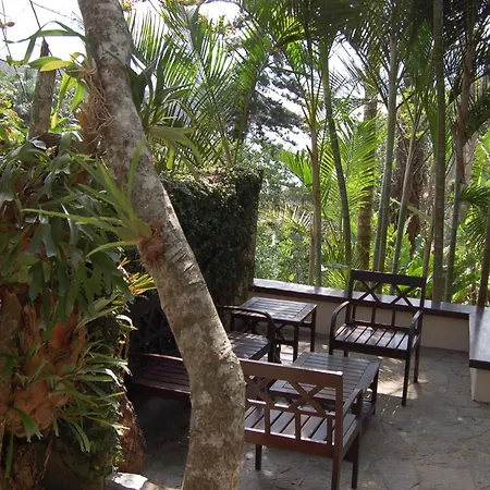 Eco Vila Beija Flor-3