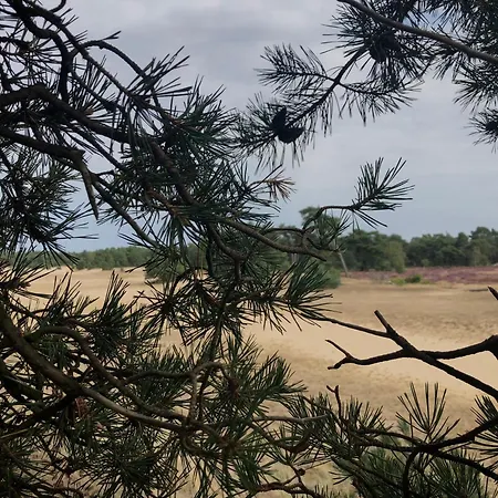 Het Natuurhuisje op de Veluwe-2