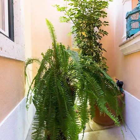 Villa Domingues-2