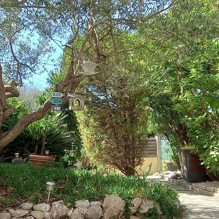 Maison jardin grande piscine , sortie bateau possible-2