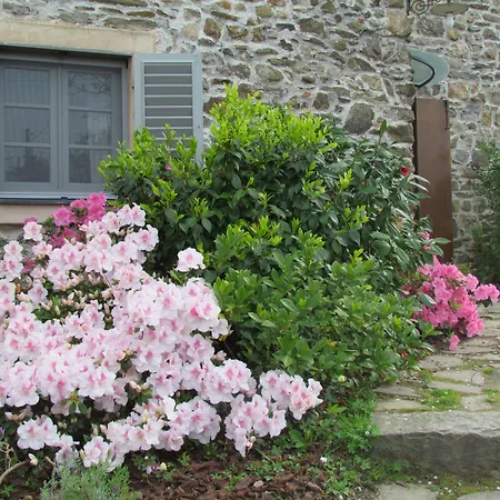 Villanova - Nature & Wellness-2