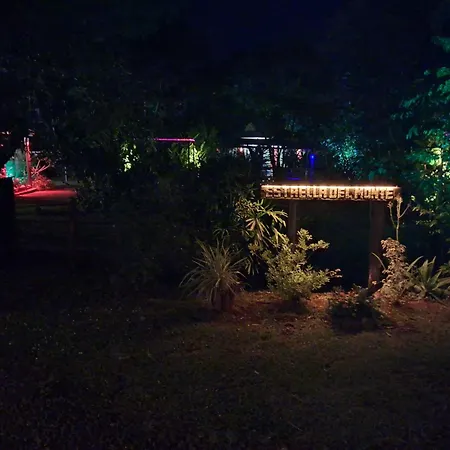 Estrella del Monte-3