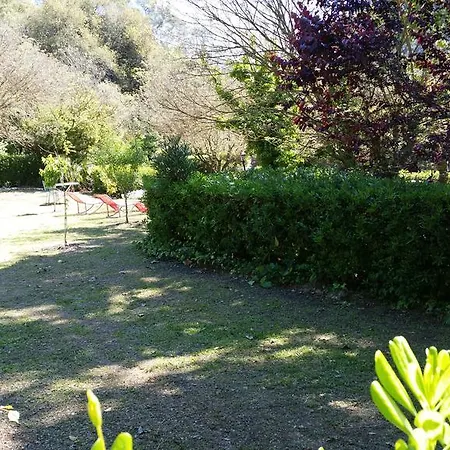 Le Clos du Loup-2