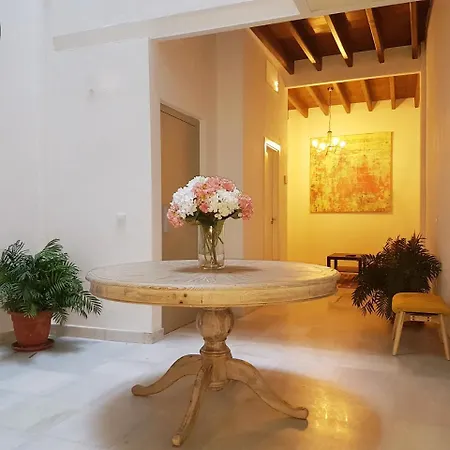 Casas de Sevilla - Casa Sevillana Harinas26-3