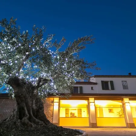 Agriturismo Le margherite-3