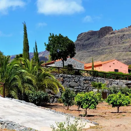 Finca Las Olivas - Unique Country House With Heated Pool-2