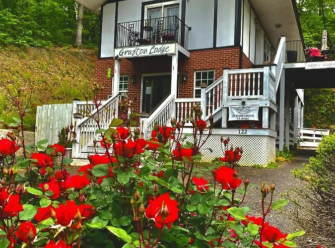 Pet Friendly hotel: Grafton Lodge