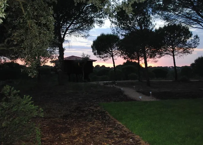 Ying Yang Monte Da Lua