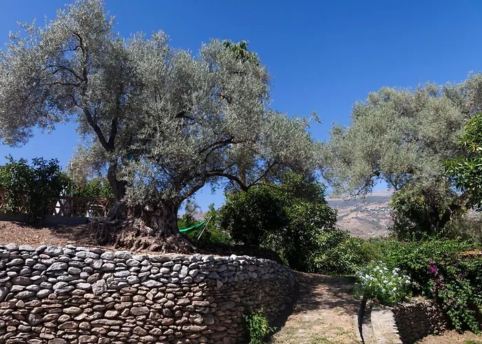 Cortijo el Azahar