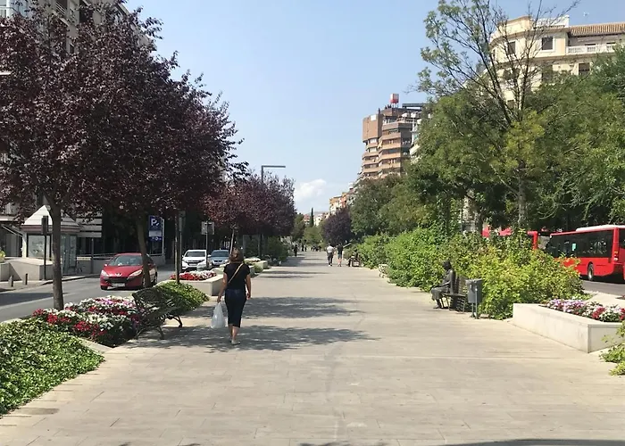 Alquiler de vacaciones: Hnn Granada