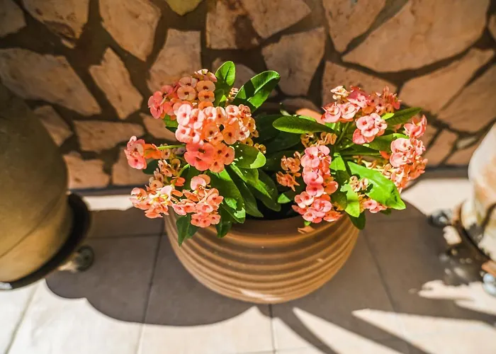 Aloe Villa Chania Crete