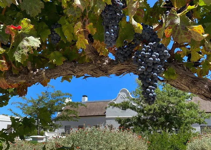 The Vineyard Cottage By L' Amitie Estate