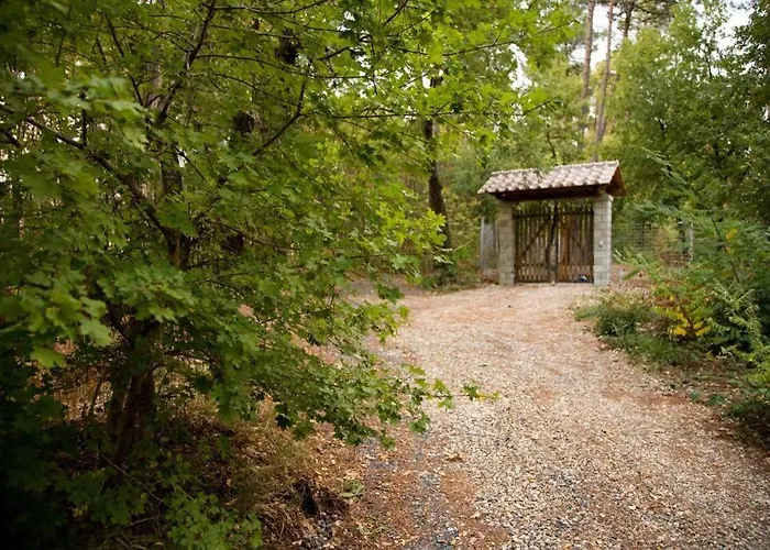Villa Liz Tuscany, Private Pool, Hot Tub, Property Fenced, Pets Allowed